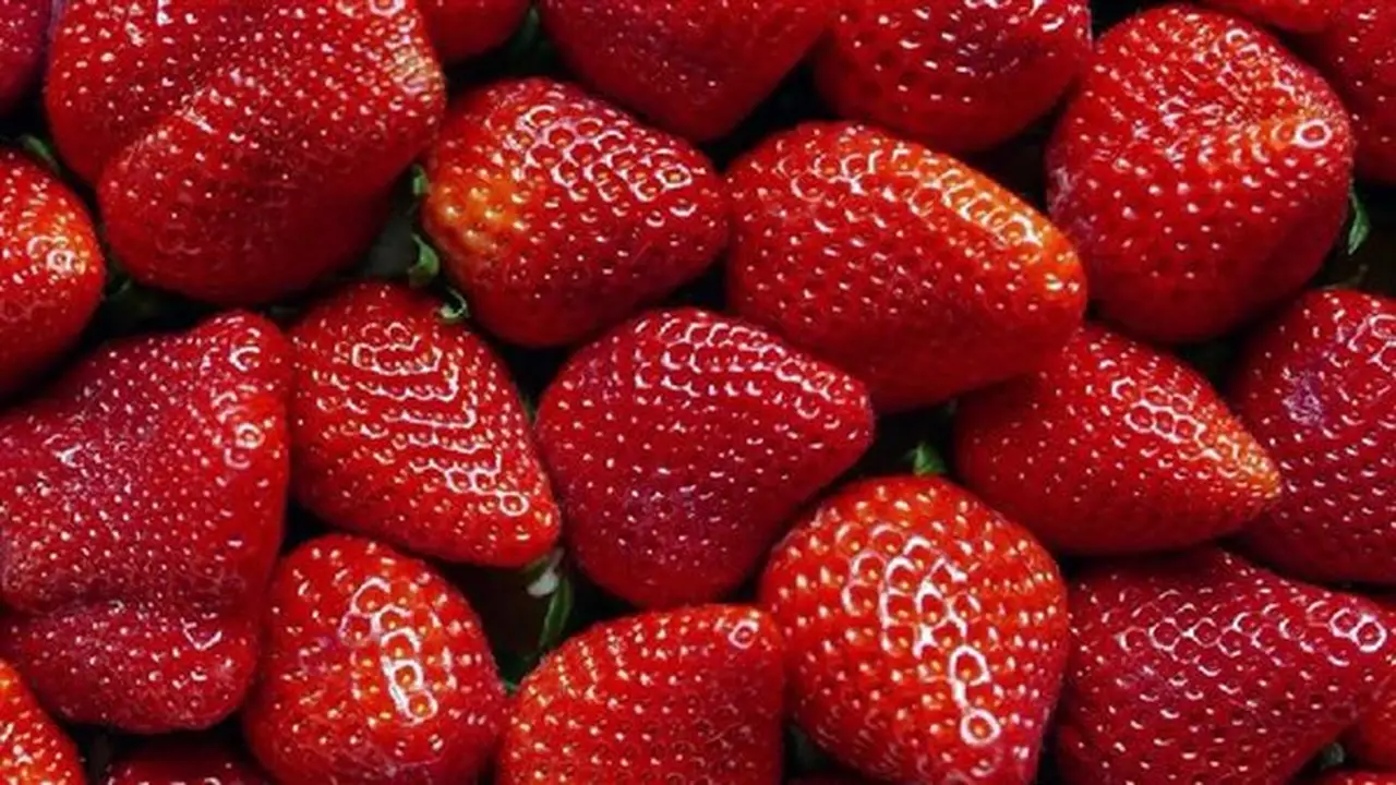 مصر تتصدر عالمياً في تصدير الفراولة المجمدة بصادرات قياسية في 2025
