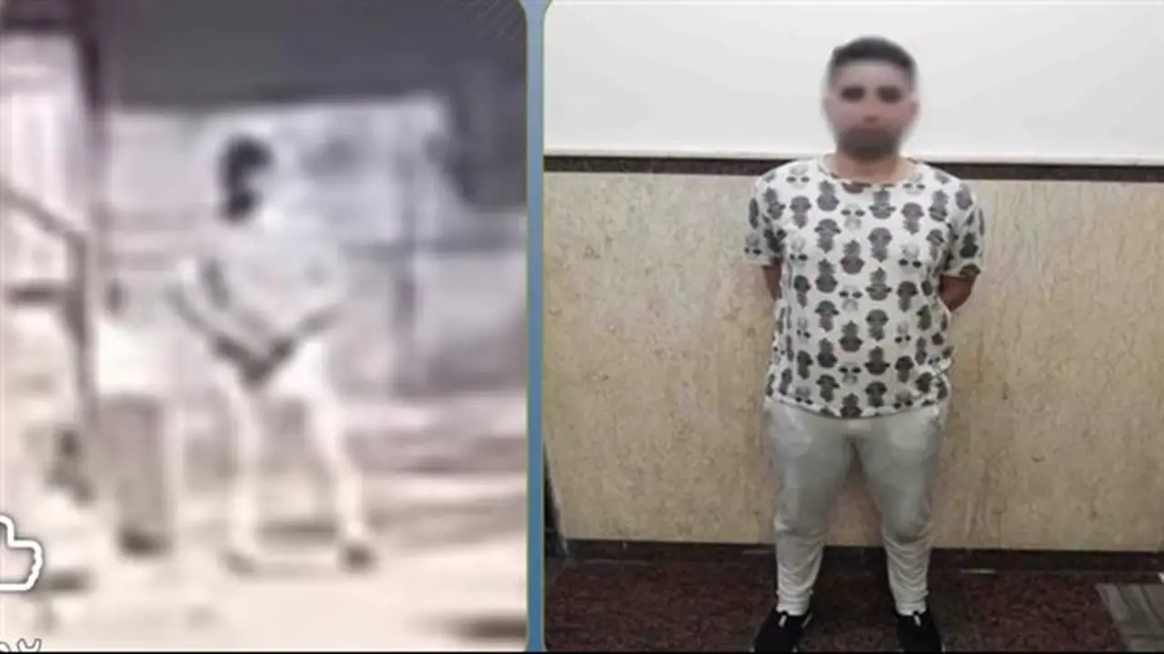 ضبط عاطل ارتكب أفعالا خادشة للحياء أمام السيدات في شوارع الإسكندرية