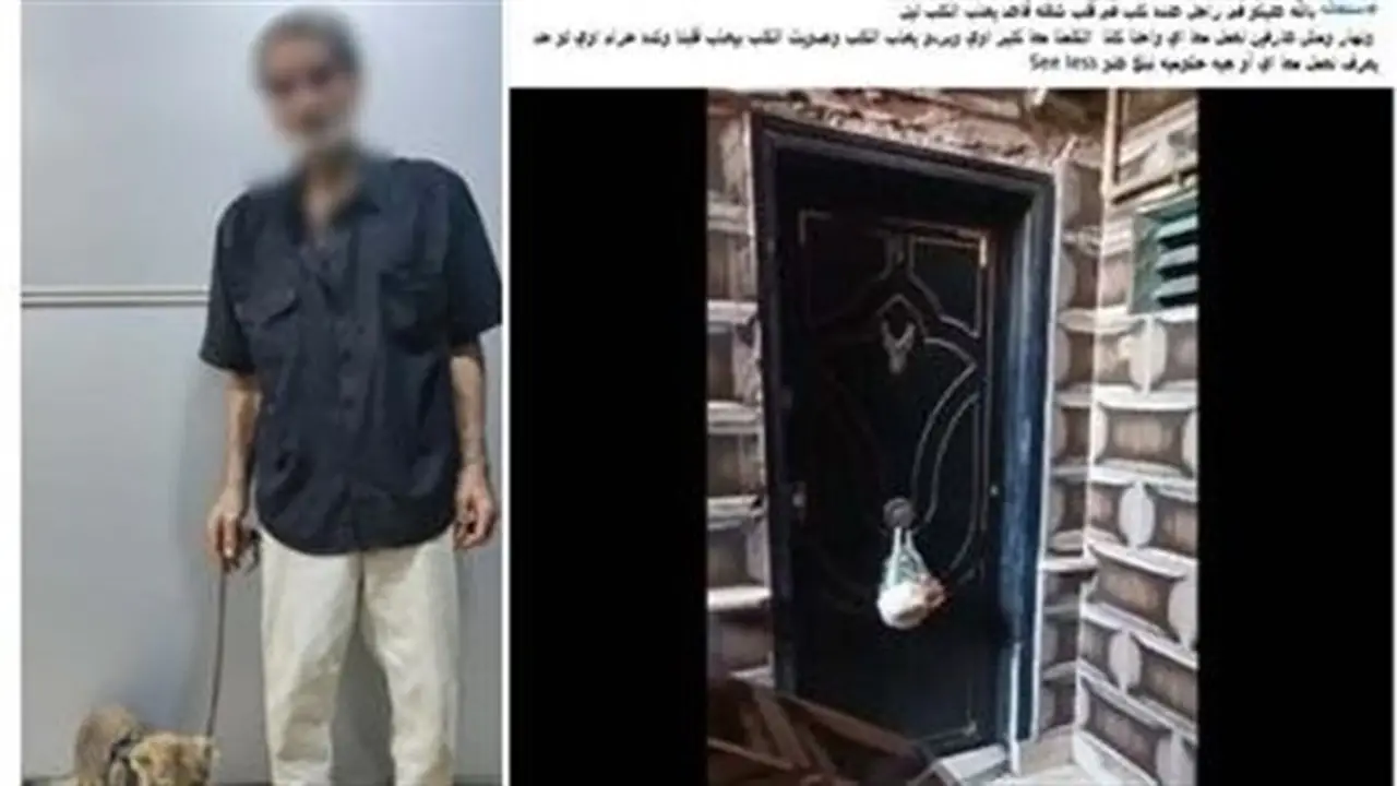 فيديو يكشف اعتداء على كلب داخل شقة في إمبابة ويثير غضب المتابعين