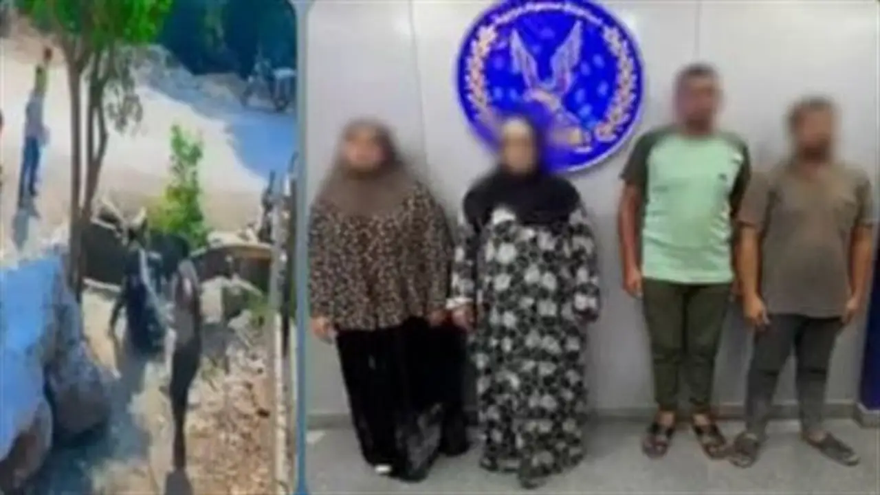 أخبار الحوادث اليوم: مقتل مسنّة ودفنها داخل شقتها بالزيتون على يد نجلها، اعتداء شاب على أسرته وإجباره والده على دفع مبالغ مالية، القضاء على أخطر 4 تجار مخدرات في الشرقية