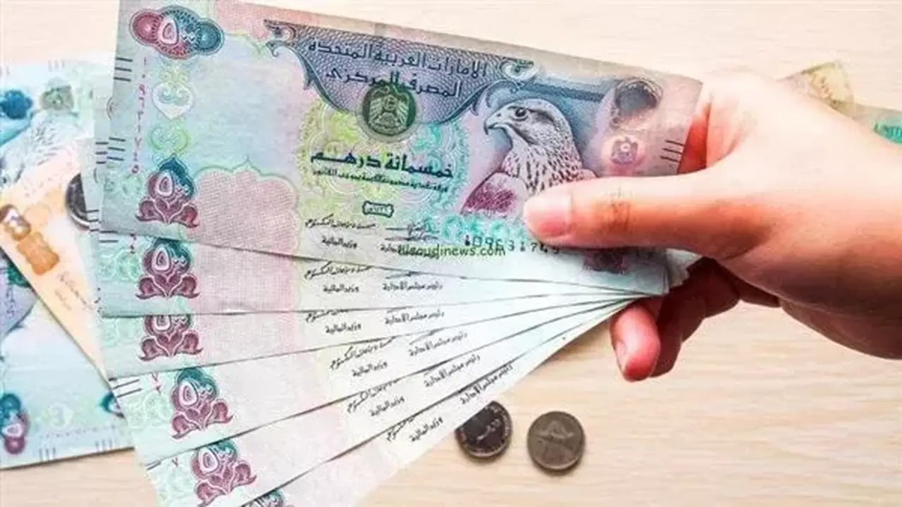 استقرار سعر الدرهم الإماراتي في البنوك المصرية اليوم الاثنين 17 أغسطس