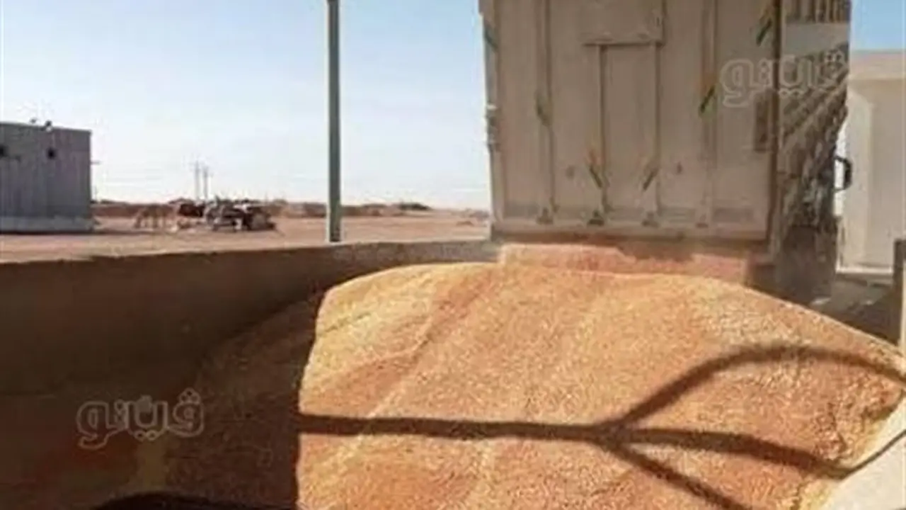 محافظ أسوان: توريد 532 ألفًا و836 طن قمح خلال موسم الحصاد الحالي