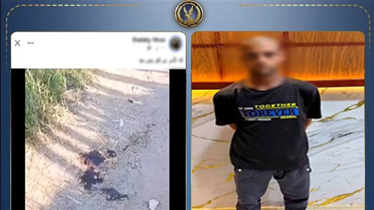 عامل يقتل صديقه للاستيلاء على أمواله في الشرقية ويخدع الشرطة بحادث قطار