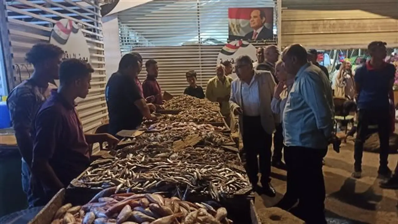 محافظ الدقهلية يزور المعرض الدائم للسلع الغذائية في حي شرق المنصورة