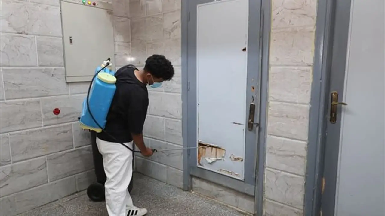 جامعة قنا تتابع جهود مكافحة النمل الأبيض في كلية طب الفم والأسنان