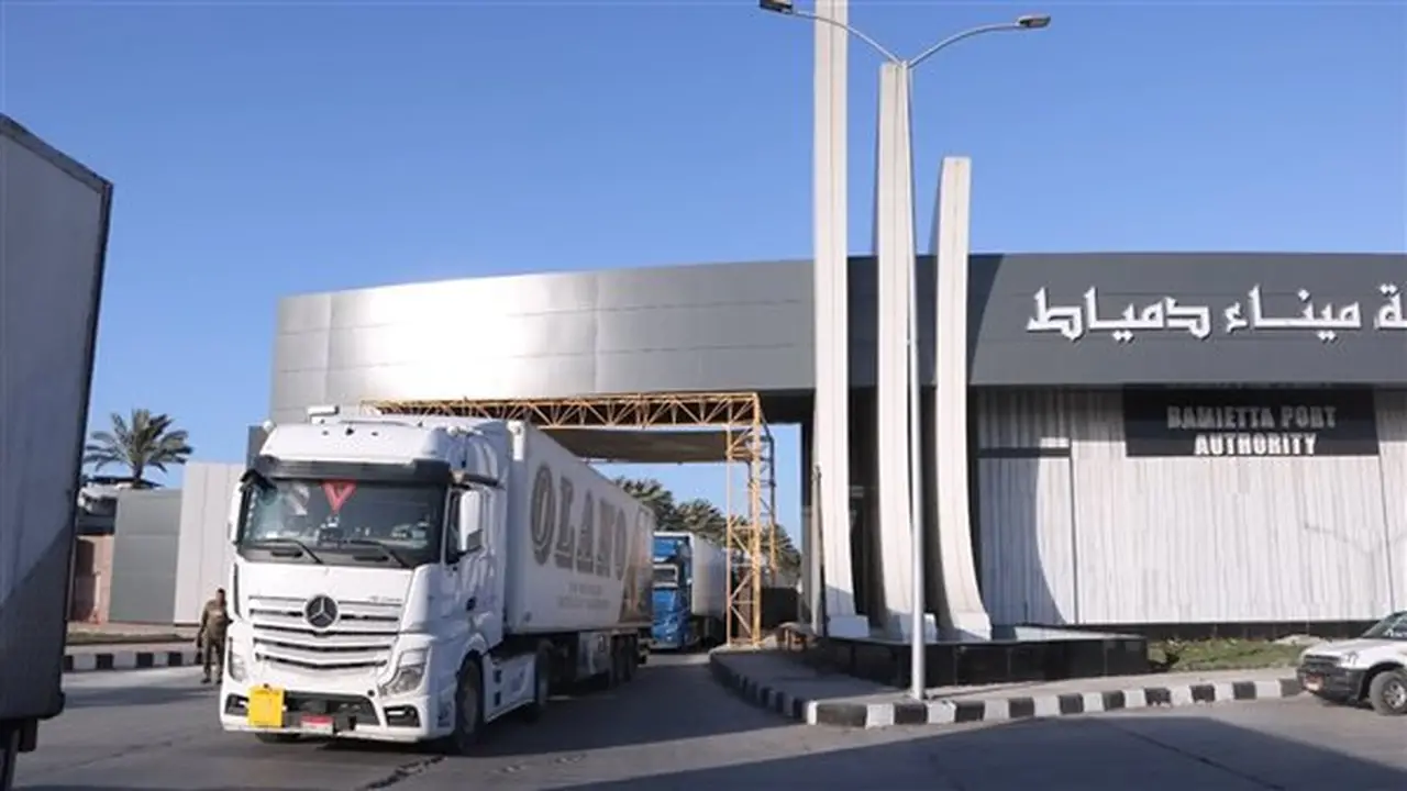 ميناء دمياط يستقبل 14 سفينة ويتداول 81 ألف طن من البضائع