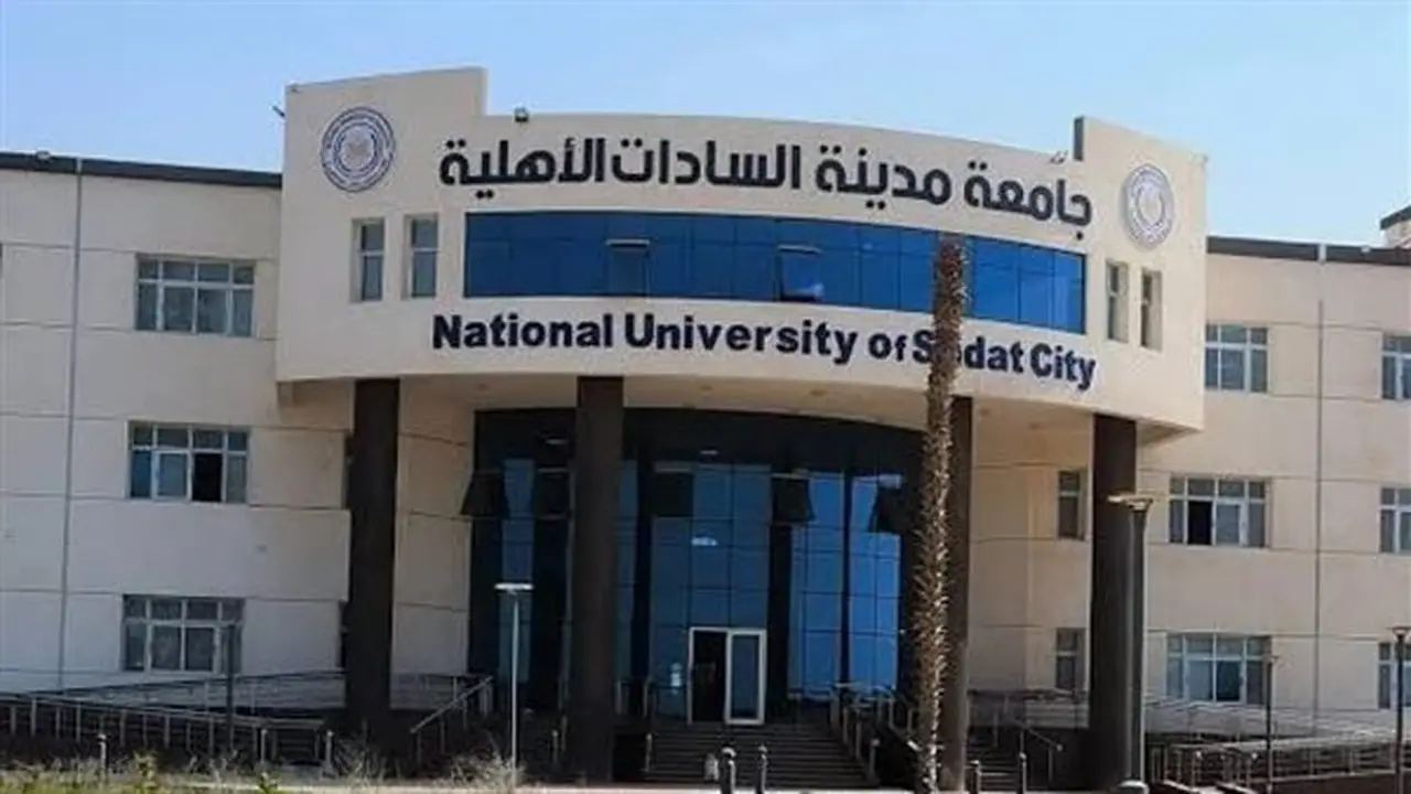 التنسيق الداخلي لجامعة السادات الأهلية: الكليات، قواعد التحويل والقبول