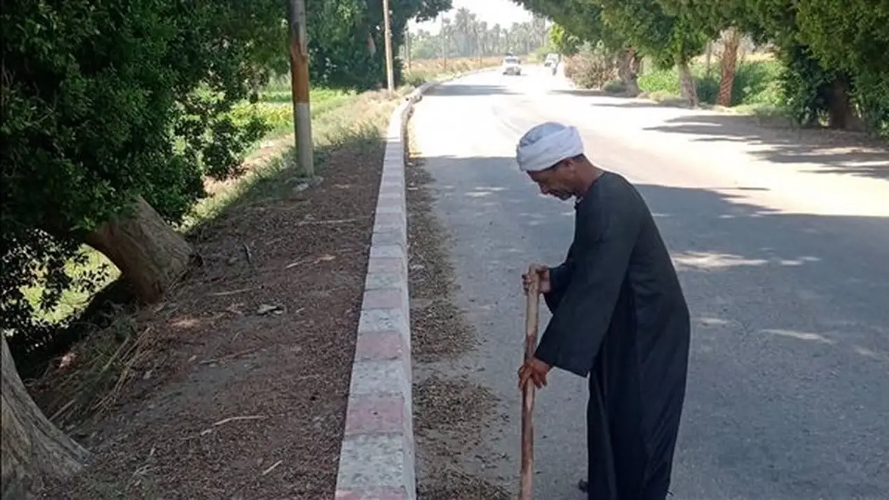 رفع 6 أطنان من المخلفات في حملة نظافة بقرية الشعانية بقنا