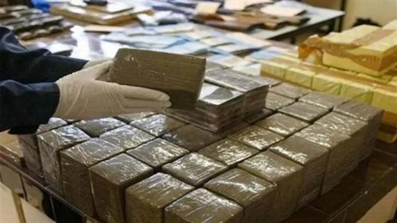 تأجيل استئناف شقيقين محكوم عليهما بالسجن 10 سنوات بتهمة حيازة مخدرات في البساتين
