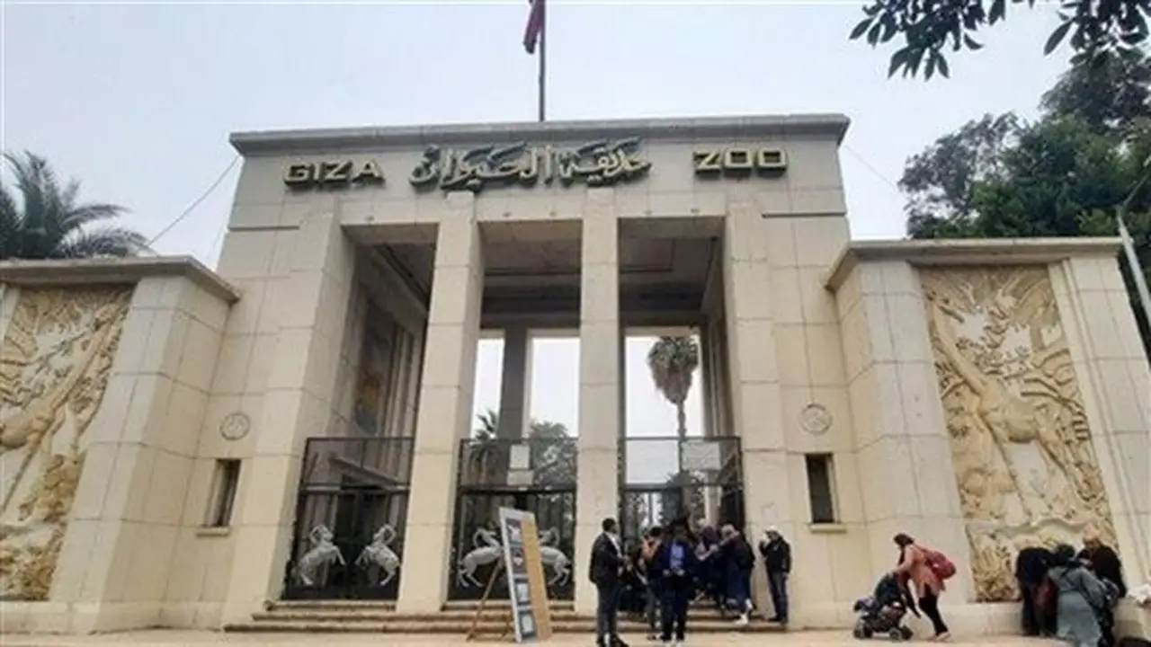 آخر مستجدات إعادة افتتاح حديقة الحيوان بالجيزة: فيلة وحيوانات نادرة في انتظار الزوار