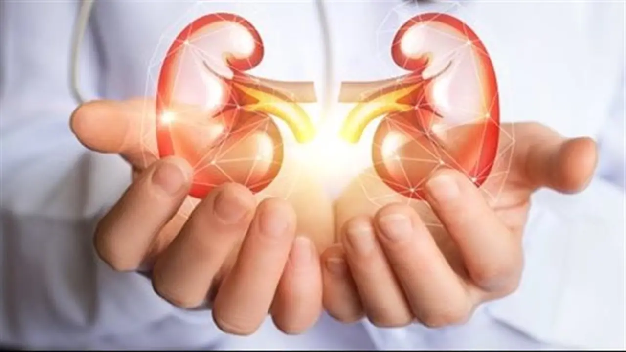 10 علامات تدل على صحة الكلى و9 نصائح للحفاظ عليها