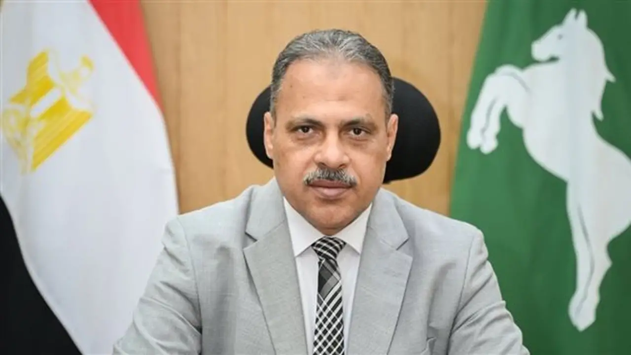محافظ الشرقية يعلن عن حركة تنقلات جديدة للعاملين بالديوان العام