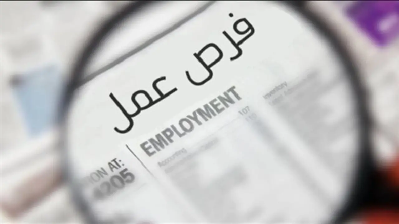 فتح باب التقديم لوظائف مراجعين ماليين وإداريين في مديرية الصحة بالجيزة 2026