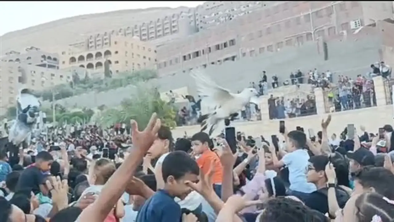 آلاف الأقباط يحتفلون بـ ‘زفة العذراء’ في دير بدرنكة بأسيوط (فيديو)