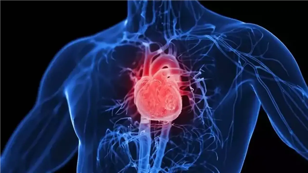 10 نصائح فعّالة للحفاظ على صحة القلب
