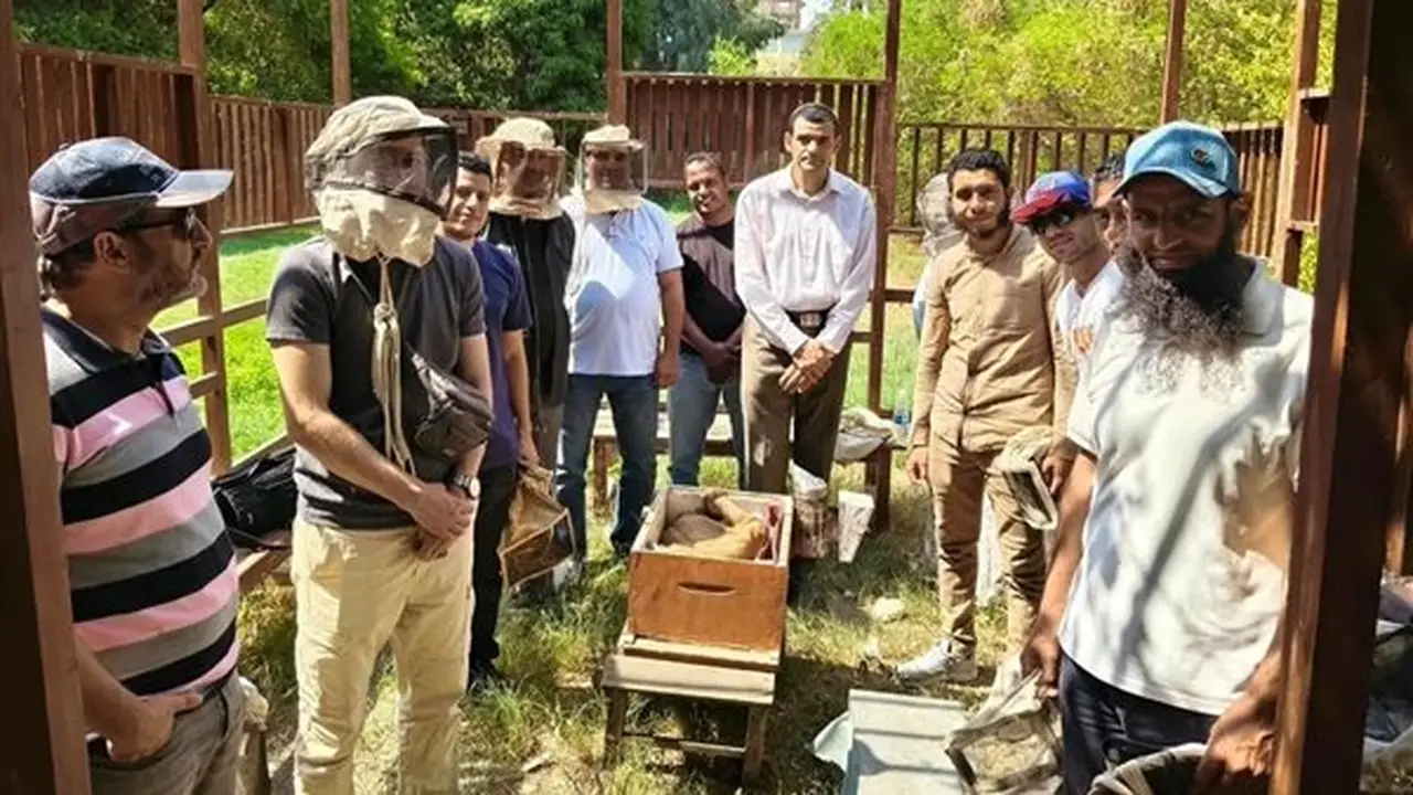 «الزراعة» تنظم برنامجًا تدريبيًا لتطوير مهارات المربين في تربية نحل العسل وتعزيز القيمة الاقتصادية للمنتجات النحلية
