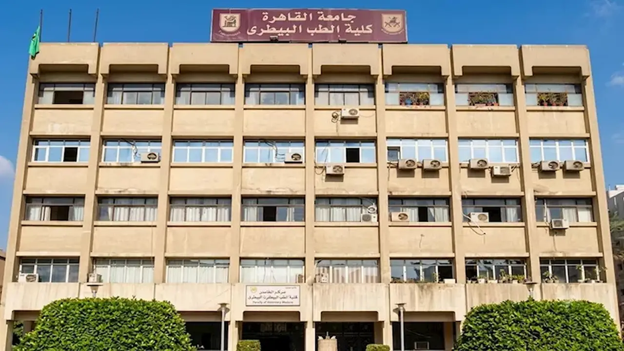 21 كلية طب بيطري في تنسيق المرحلة الثانية 2026.. القائمة الكاملة