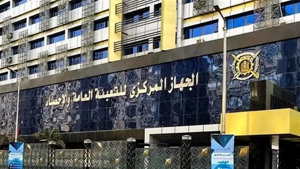 21.5 مليون شاب في مصر: 47.1% منهم يساهمون في قوة العمل
