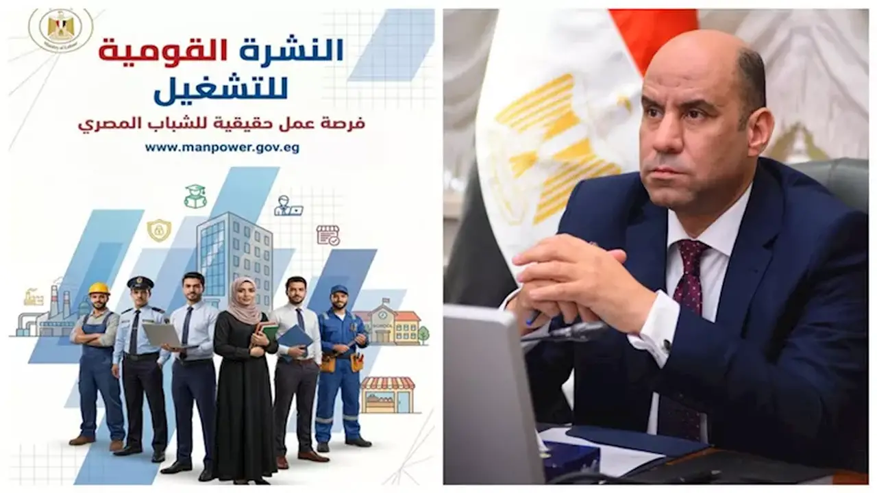 1355 فرصة عمل جديدة في 22 شركة خلال أغسطس 2026 في 7 محافظات