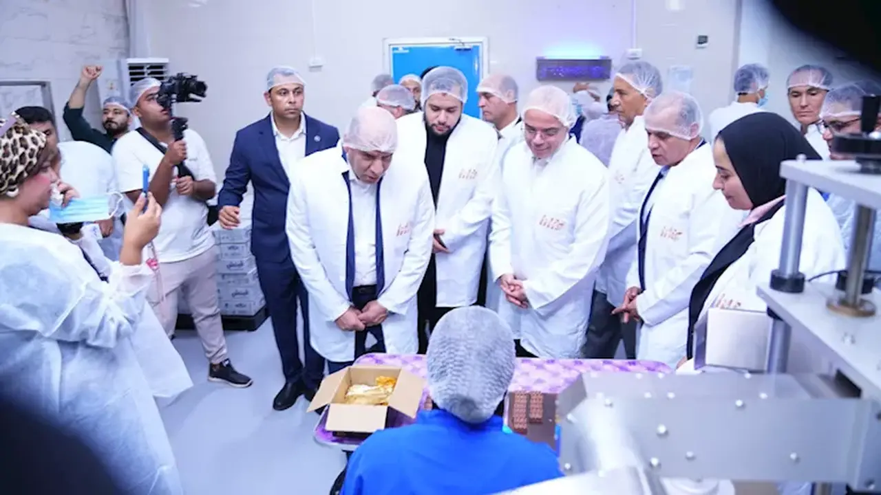 استثمارات بقيمة 650 مليون جنيه من 3 شركات في بنها توفر 893 فرصة عمل