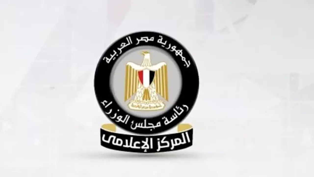 50 مليون دولار.. تفاصيل مصنع سونجرو لتخزين الطاقة في السخنة