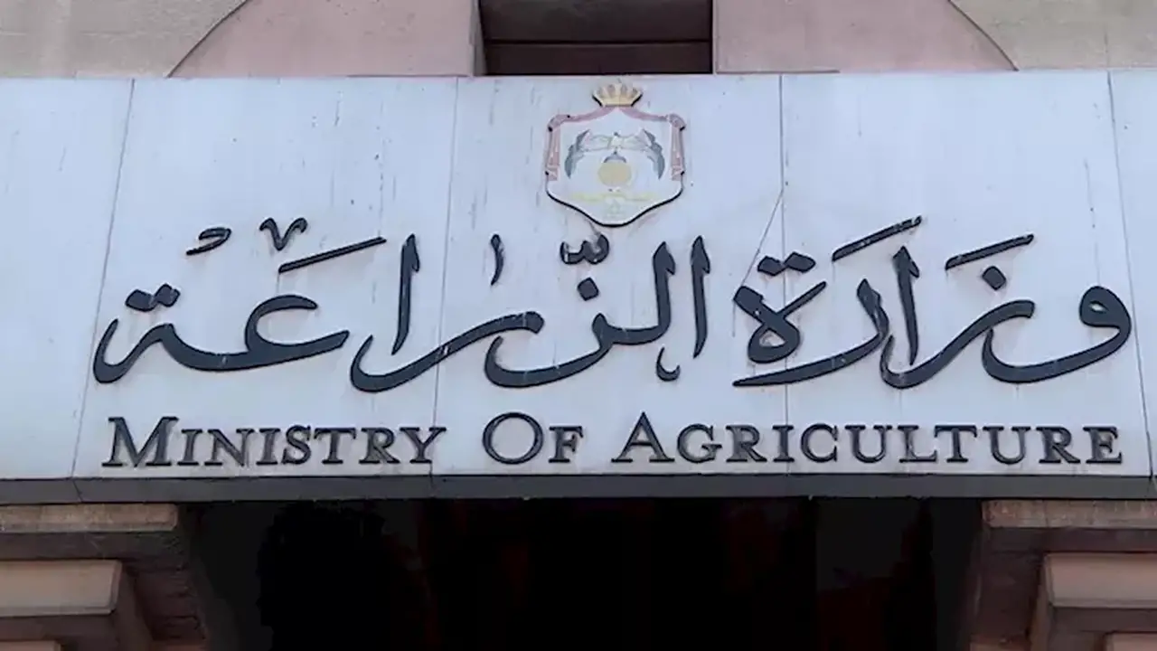 زيادة الصادرات الزراعية المصرية إلى 6.2 مليون طن: الأسباب والدوافع
