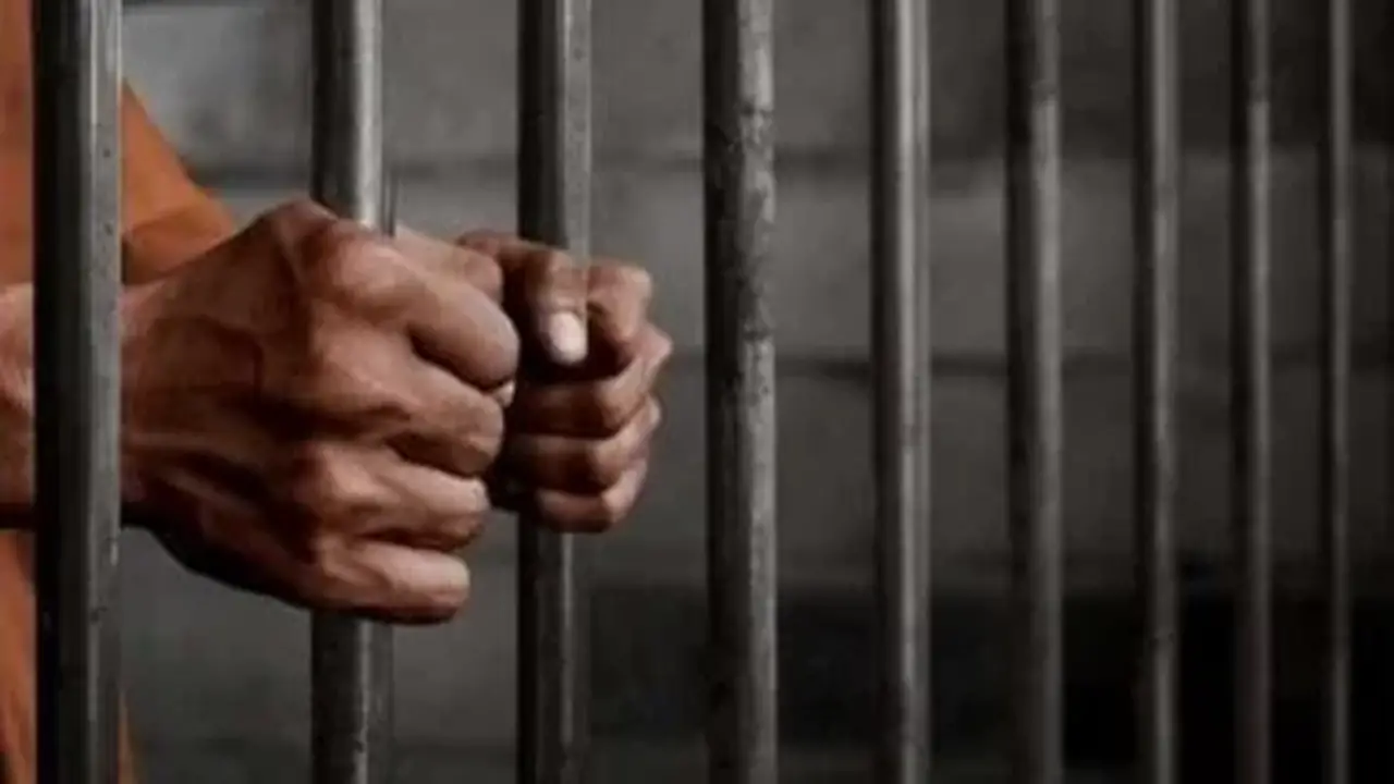 8 مخالفات لقانون حماية الملكية الفكرية وعقوباتها تصل إلى الحبس وغرامة 10 آلاف جنيه
