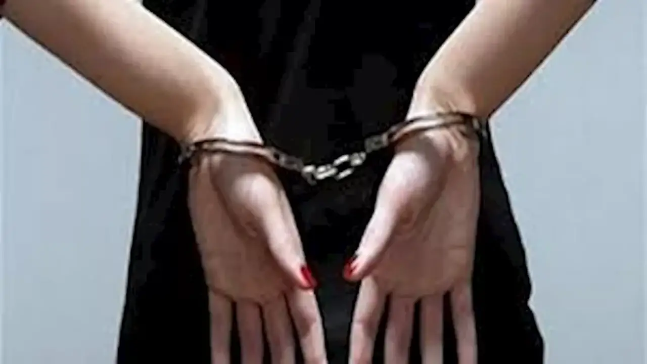 ضبط 9 كيلو جرامات من نبات القات بمطار القاهرة: تقرير المعمل الكيماوي يكشف التفاصيل