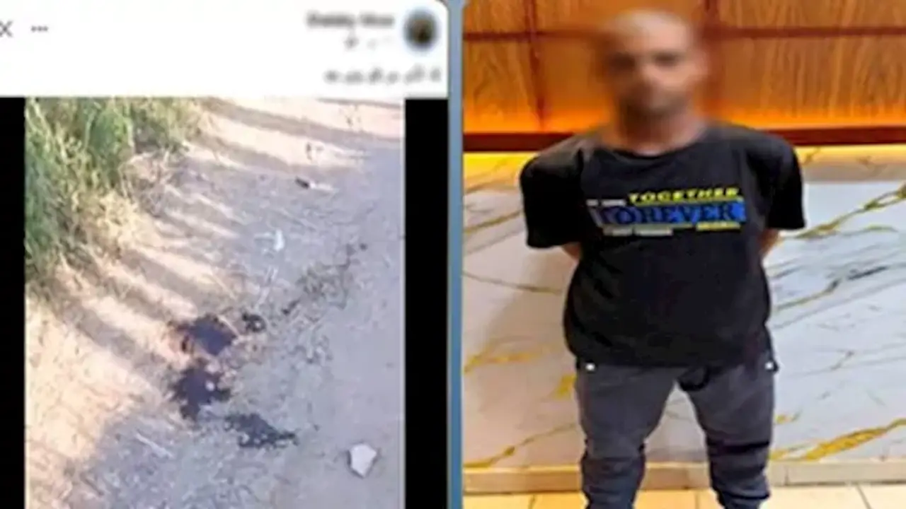 كشف ملابسات جريمة قتل عامل بالقرب من السكك الحديدية في الشرقية