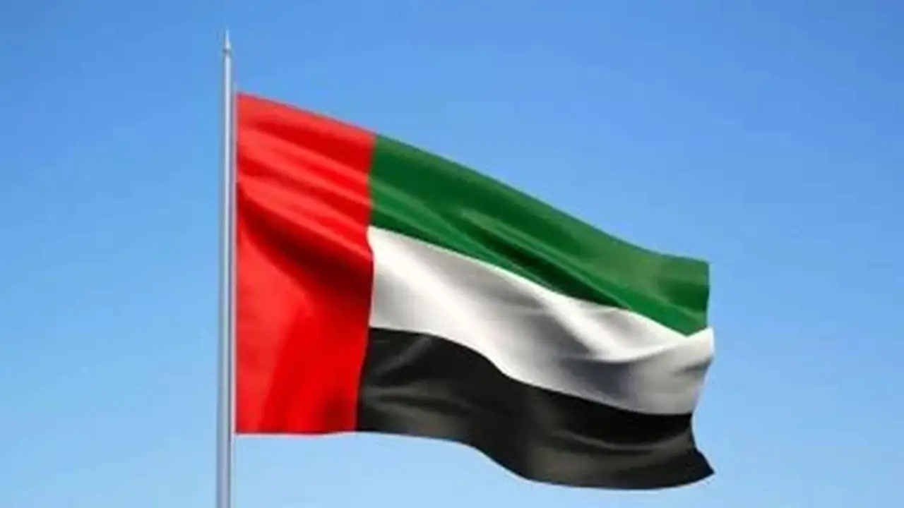 الإمارات تدين استهداف ناقلتي غاز ونفط لشركة أدنوك في مضيق هرمز