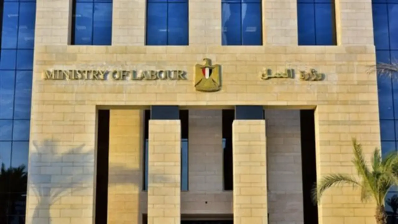 1355 فرصة عمل جديدة في 7 محافظات: تفاصيل التخصصات والشروط