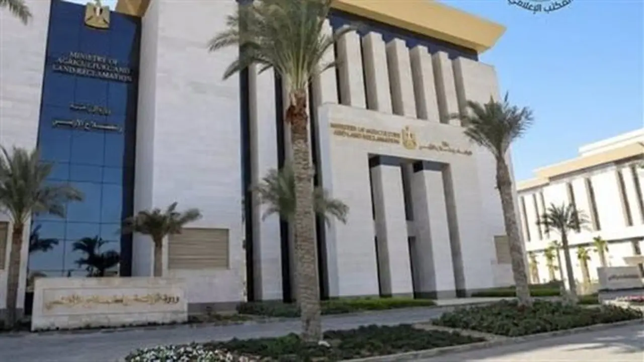 وزارة الزراعة تضبط 230 عبوة مبيدات مغشوشة في الجيزة وكفر الشيخ وتحيل المخالفين للنيابة العامة