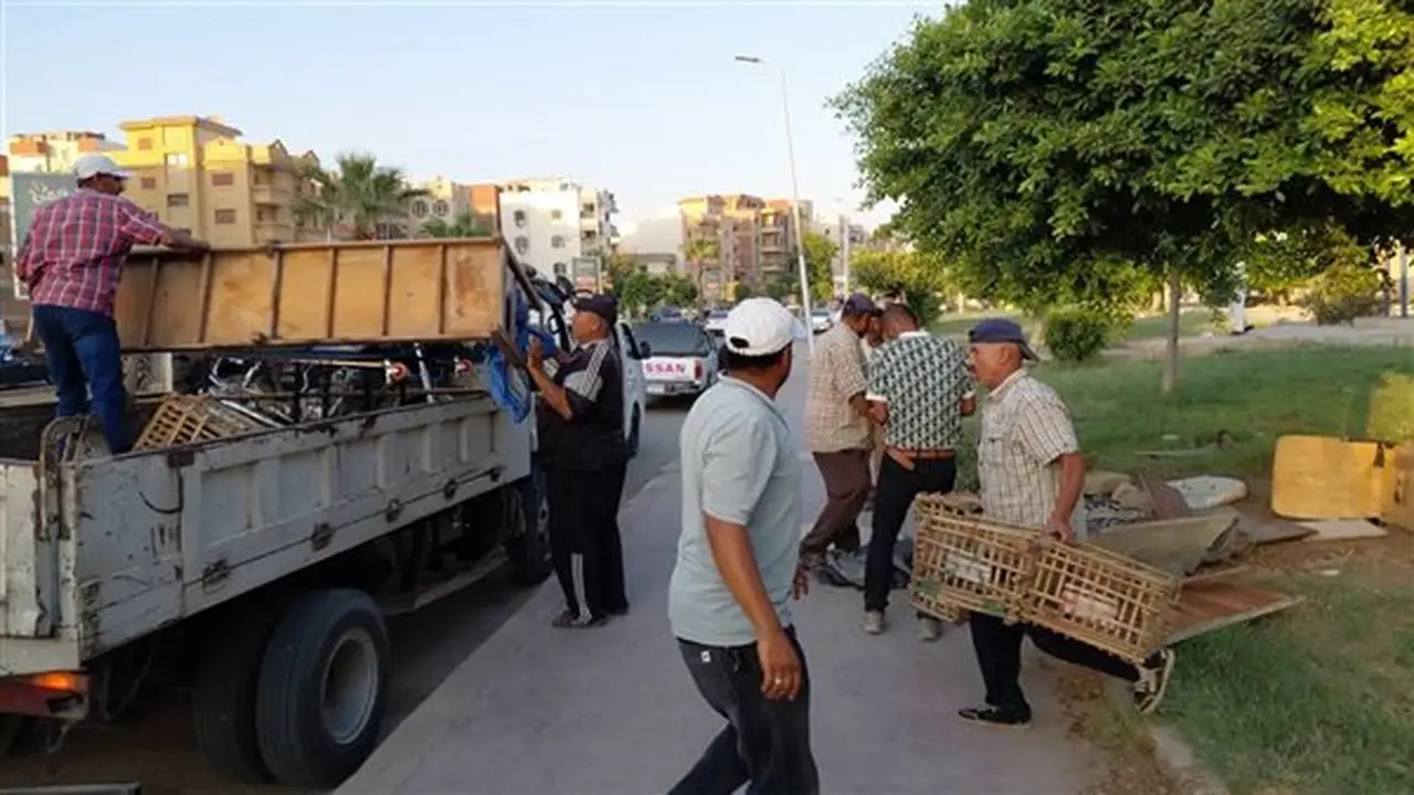 العاشر من رمضان: حملات مسائية لإزالة الإشغالات والنباشين من الميادين