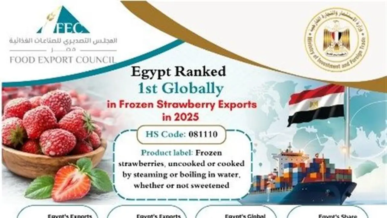 مصر تتصدر عالمياً في صادرات الفراولة المجمدة بقيمة 690 مليون دولار عام 2025