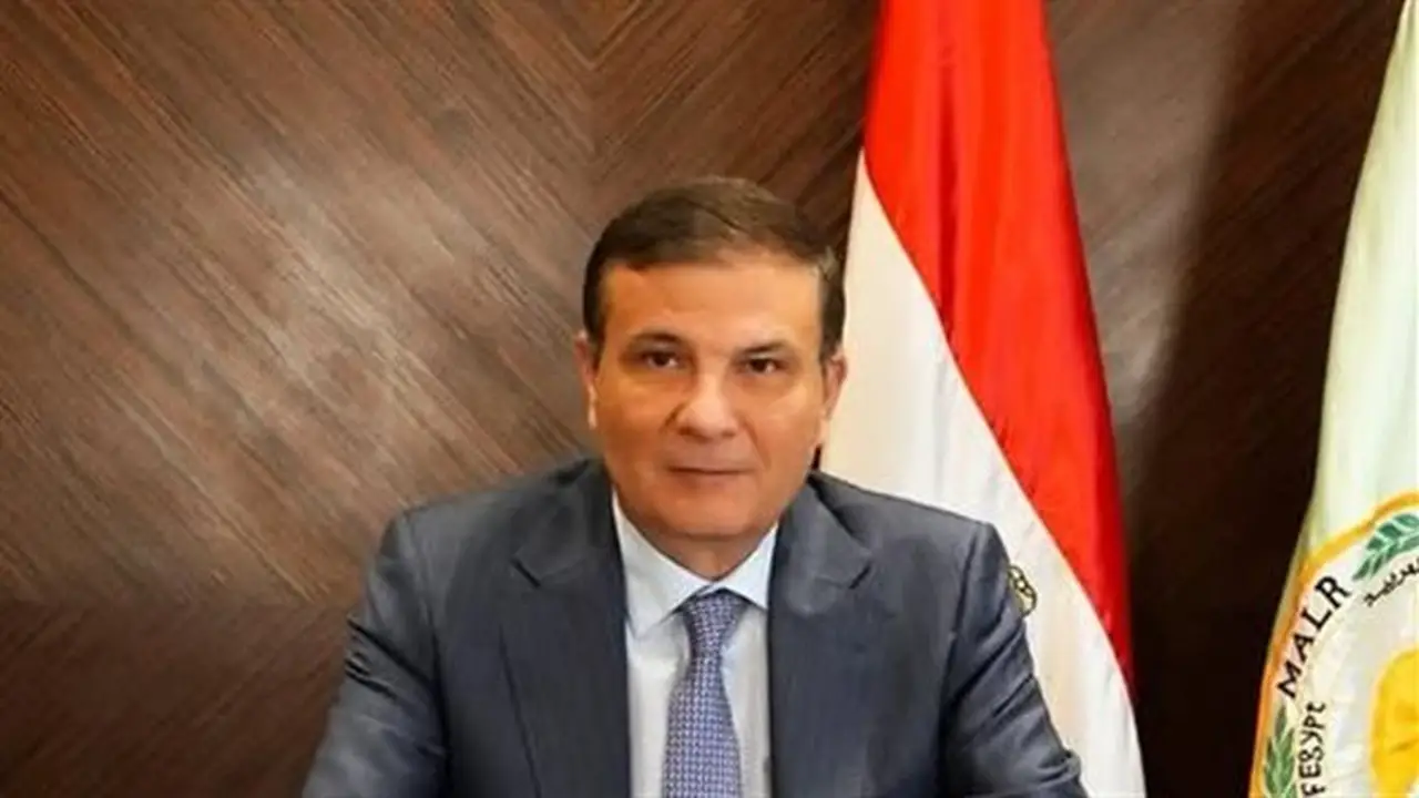 تحقيق الاكتفاء الذاتي: تحديات الأمن الغذائي في مصر والفجوة المتزايدة