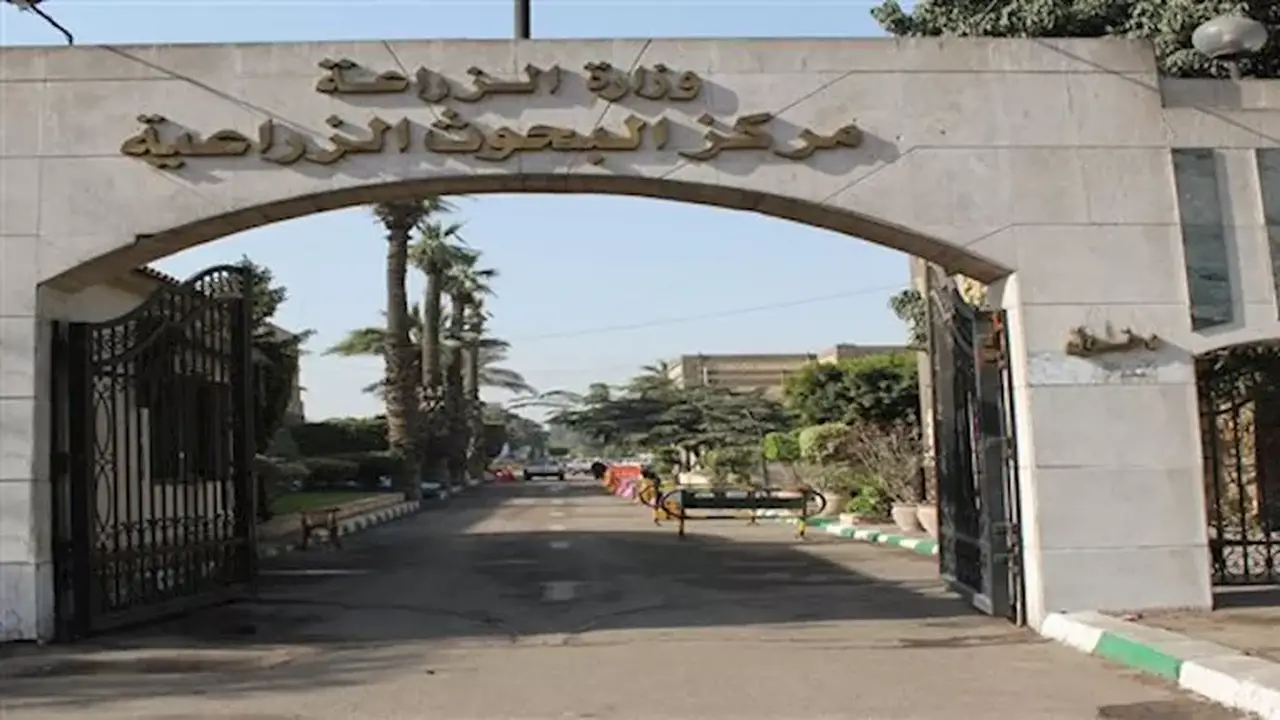 تدريب 25 شابًا في تكنولوجيا المخبوزات لتعزيز فرص العمل