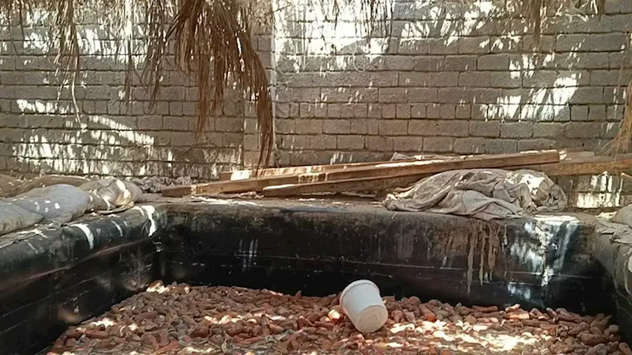وفاة شابين وإصابة 6 آخرين في حادث بيارة مصنع مخلل بالمنيا