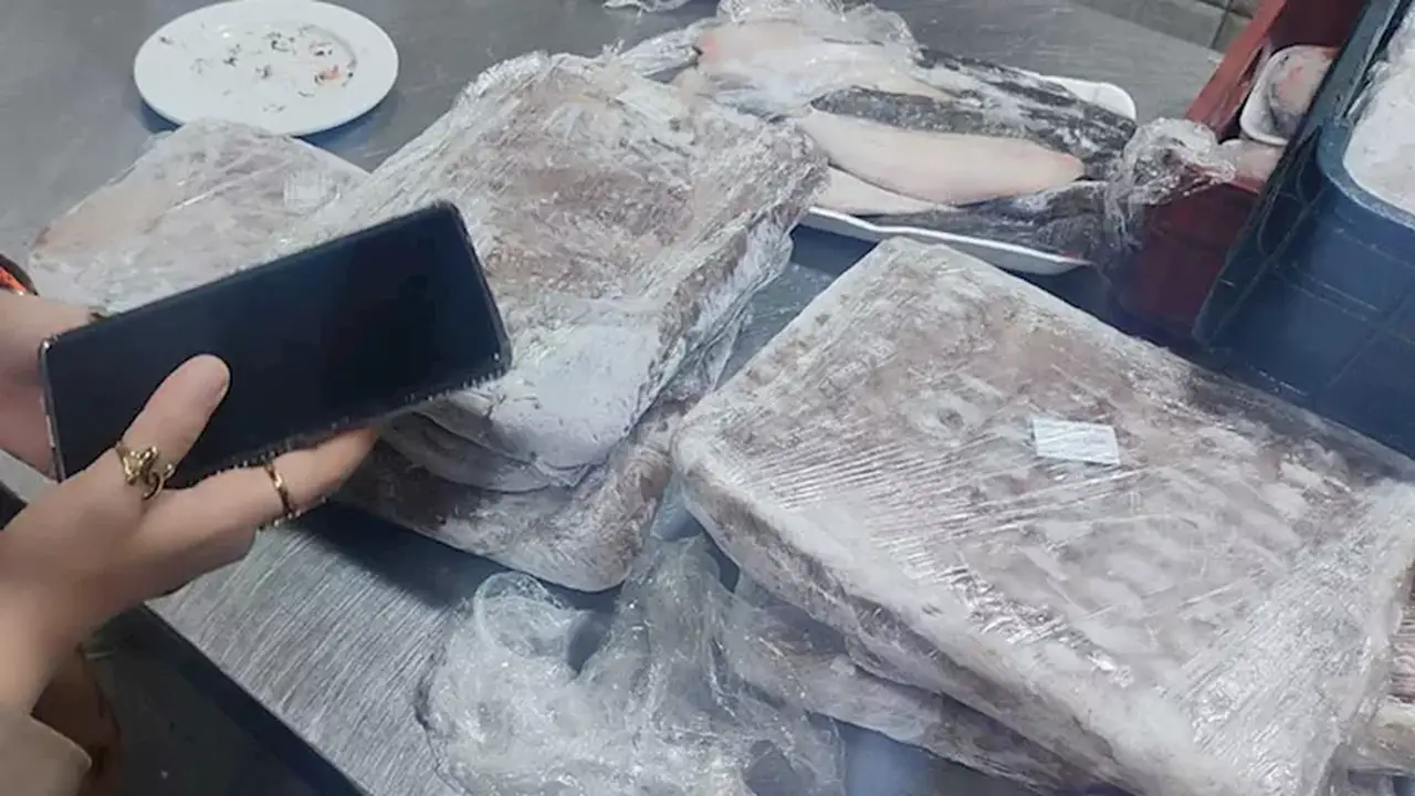 ضبط جمبري وبطارخ فاسدة في مطعم شهير ببورفؤاد – صور