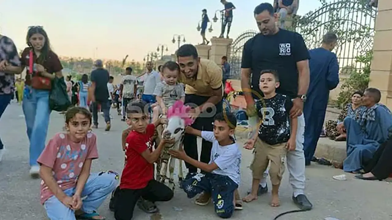 احتفالات دير درنكة بأسيوط: مشاهد مميزة من النذور والزينة بالورود – صور