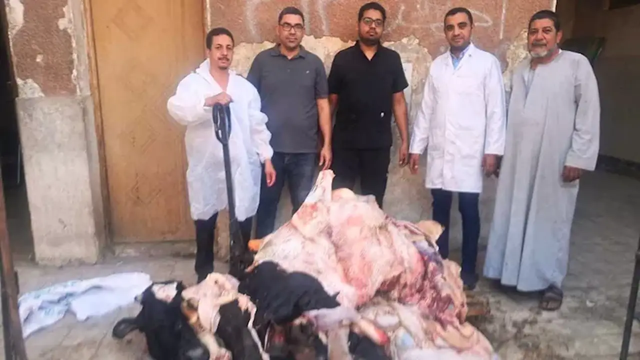 ضبط أكثر من طن من اللحوم الفاسدة في سوق الهجارسة بسوهاج
