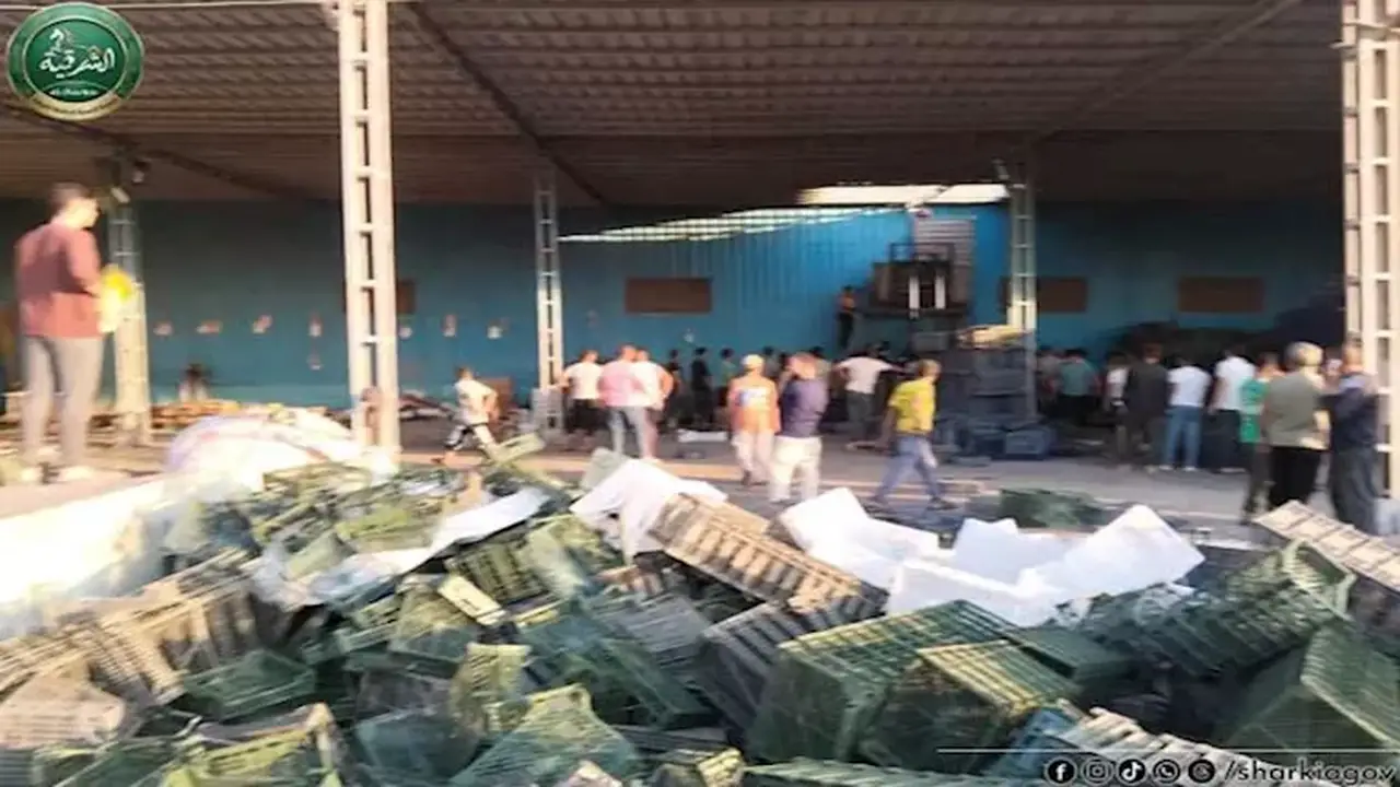حريق ضخم بمصنع لتصدير البرتقال في منيا القمح على مساحة 5 أفدنة – صور