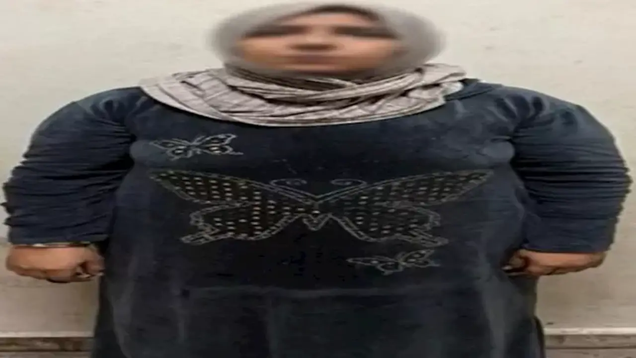 محكمة استئناف جنايات القاهرة تؤجل نظر قضية اختطاف رضيعة من مستشفى الحسين الجامعي