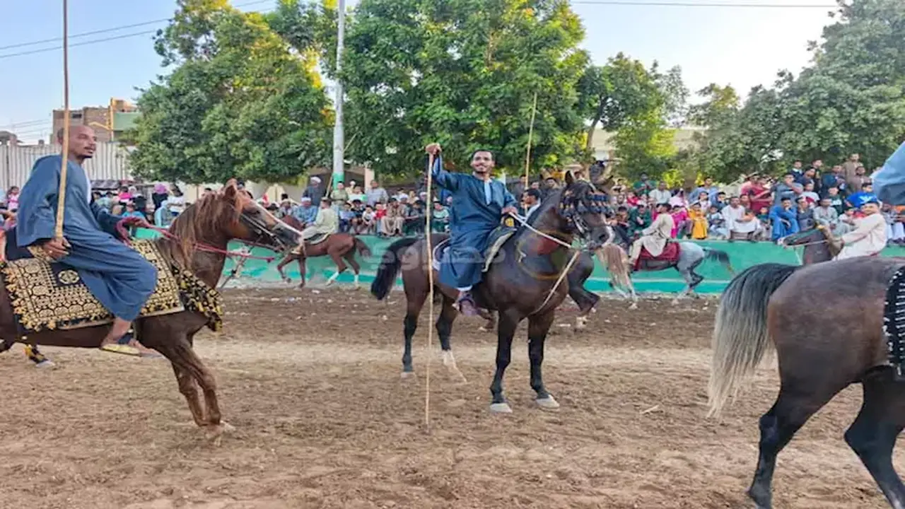 لماذا يُعتبر “المرماح” أكثر من مجرد سباق خيل؟ أسرار وطقوس الفروسية في صعيد مصر (فيديو وصور)
