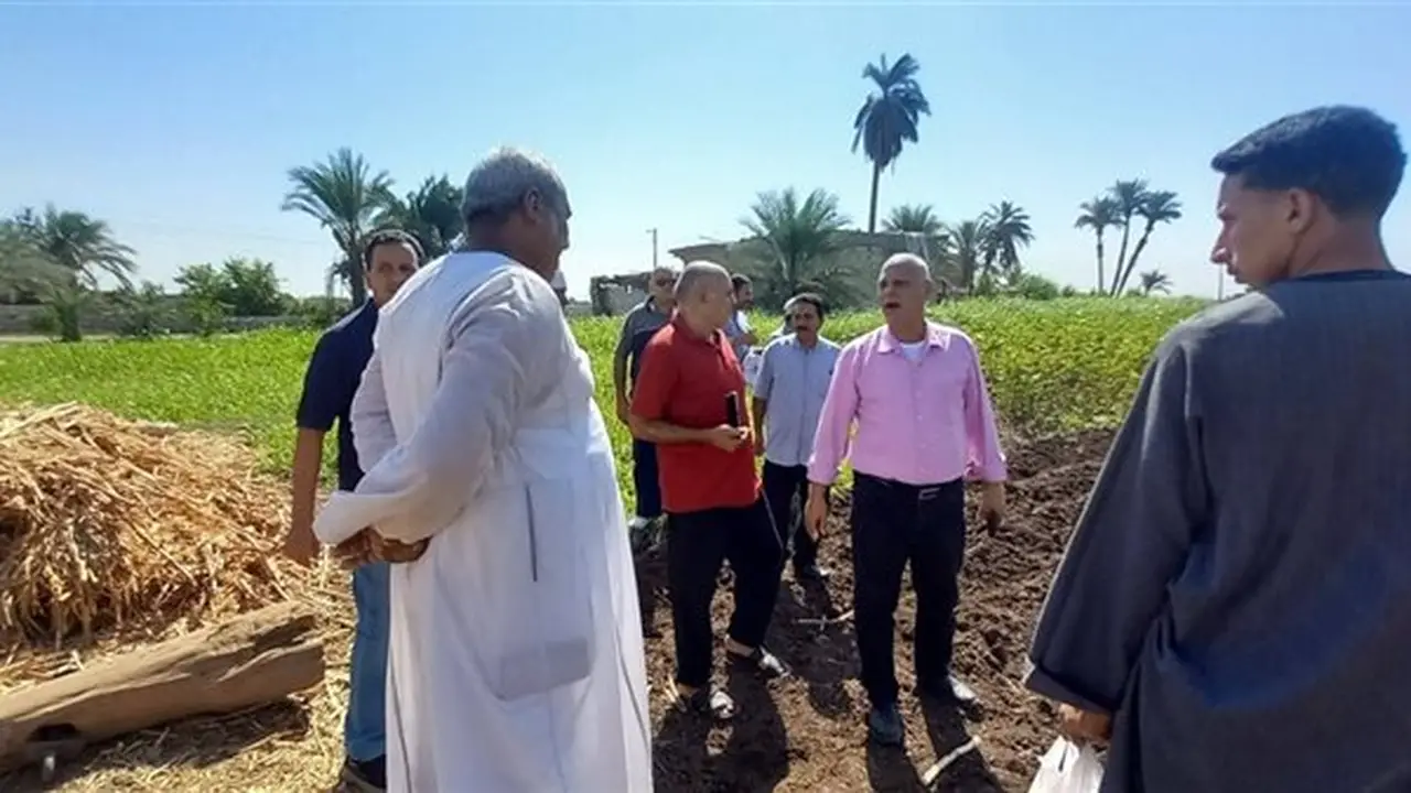محافظ أسيوط يؤكد أهمية التوسع في زراعة الأعلاف الخضراء لدعم صغار المربين وتنمية الثروة الحيوانية