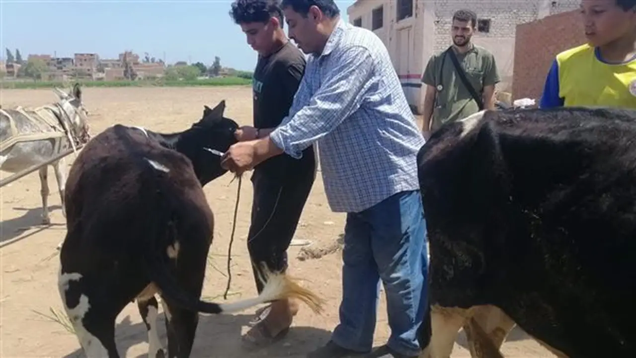 محافظ الغربية يتابع القافلة البيطرية المجانية في قرية شندلات بالسنطة