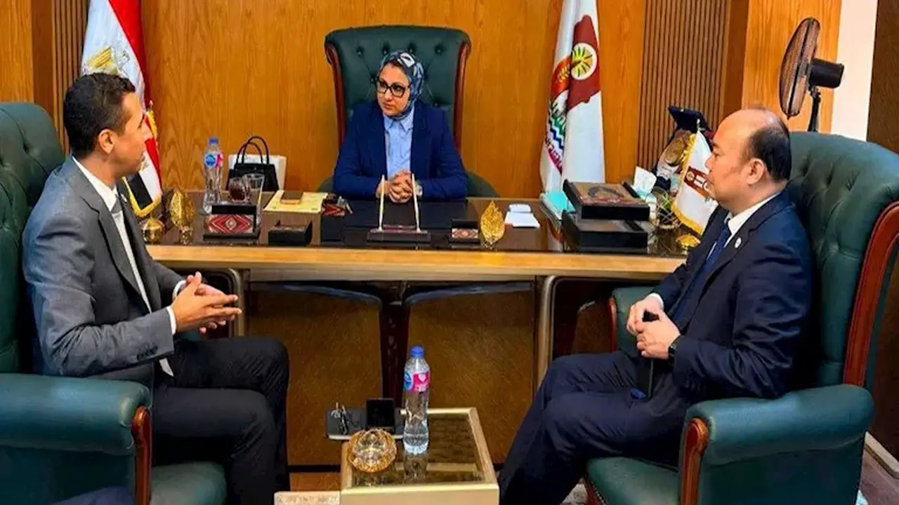 محافظ الوادي الجديد تبحث مشروعات الطاقة مع شركة دونغ فانغ الصينية