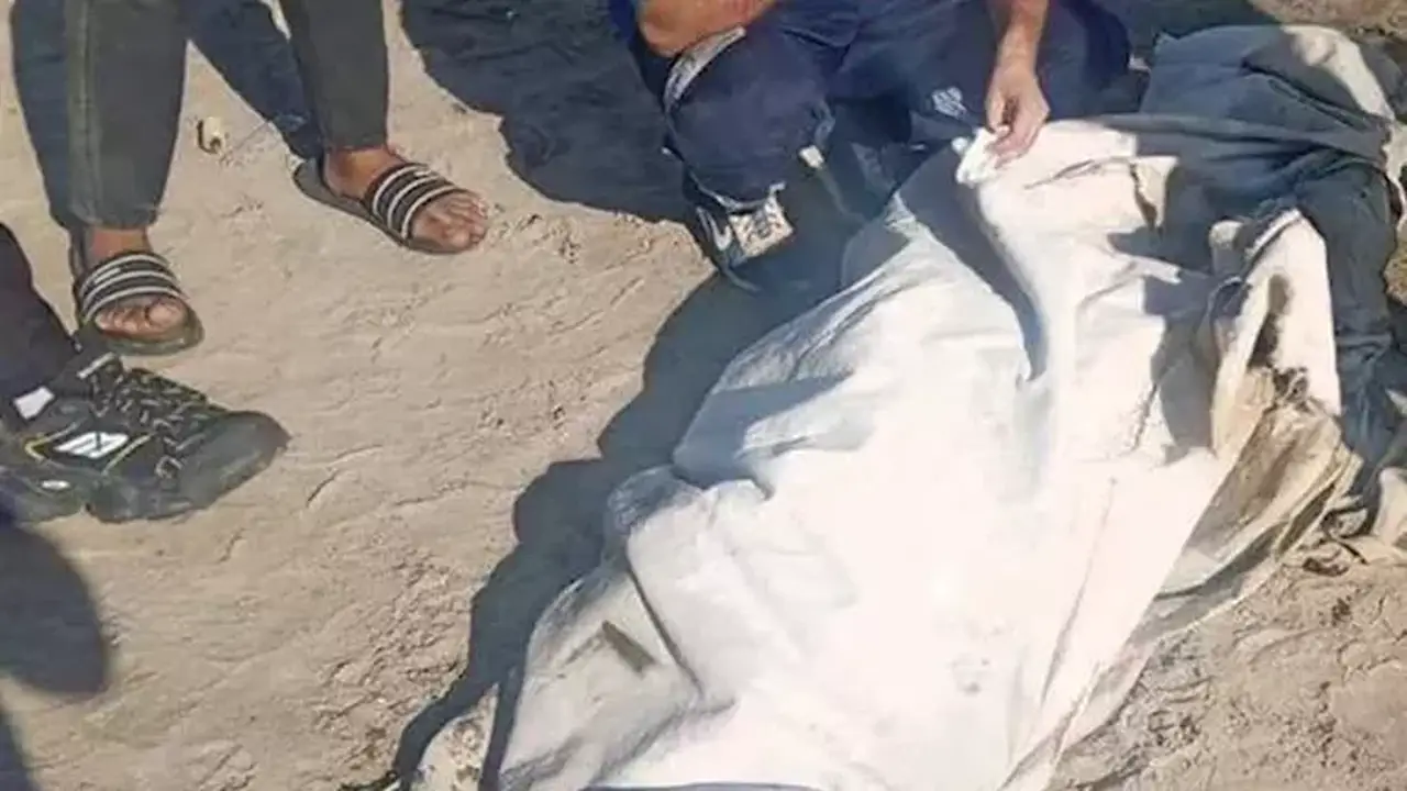 مصرع سائق تريلا تحت عجلات قطار في المنوفية أثناء عبوره ممرًا غير قانوني