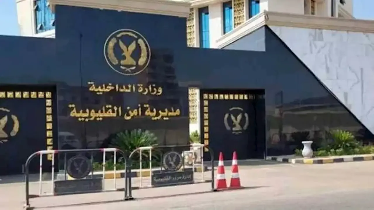 سيدة تُضبط بتهمة سب سائق توك توك في القليوبية بعد خلاف حول الأجرة