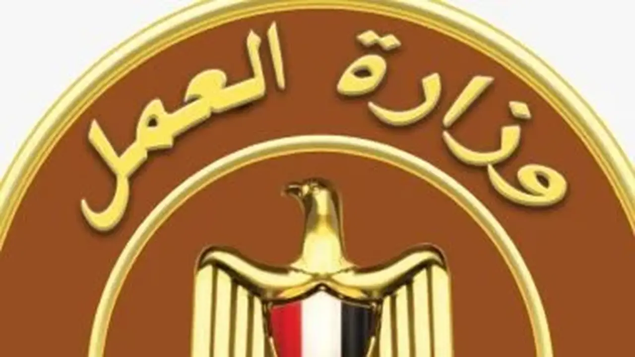 وزارة العمل تعلن عن 66 فرصة عمل في الأمن والحراسة تشمل 64 وظيفة للنساء