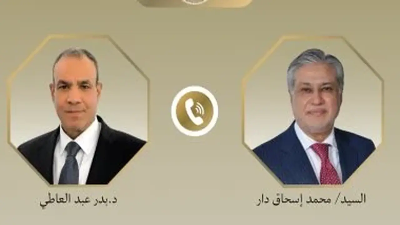 وزير الخارجية المصري يناقش مع نظيره الباكستاني جهود خفض التصعيد الإقليمي